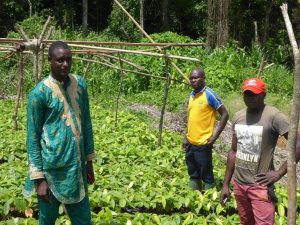 Lire la suite à propos de l’article  Forêts, communautés, changement climatique et sécurité alimentaire au Cameroun (F3CSAC)