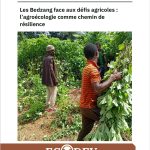 Les Bedzang face aux défis agricoles :l’agroécologie comme chemin derésilience
