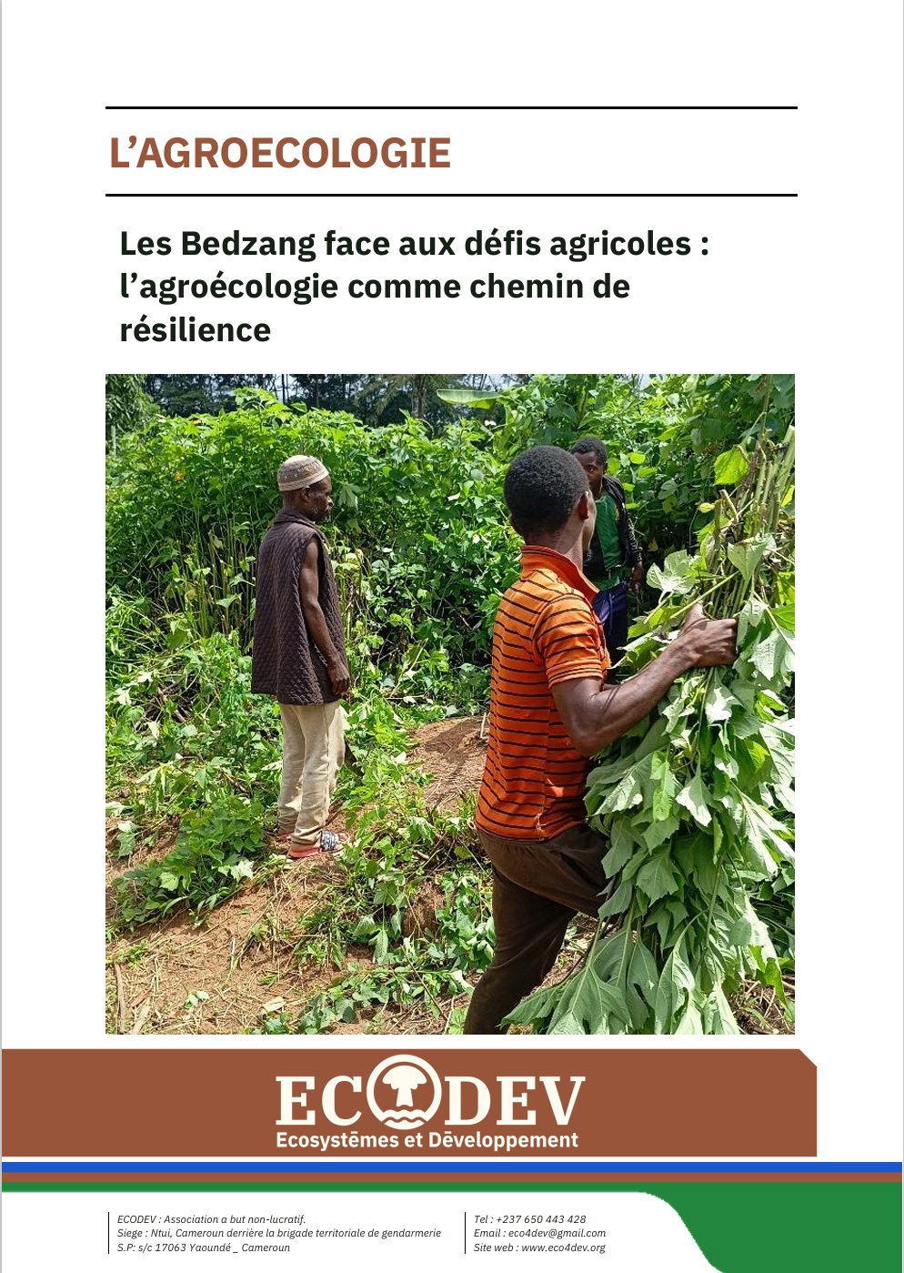 Lire la suite à propos de l’article Les Bedzang face aux défis agricoles :l’agroécologie comme chemin derésilience