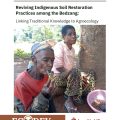 Reviving Indigenous Soil RestorationPractices among the Bedzang