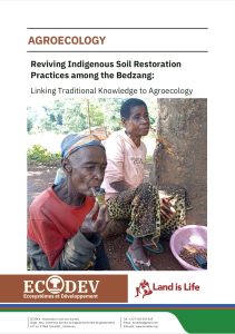 Lire la suite à propos de l’article Reviving Indigenous Soil RestorationPractices among the Bedzang
