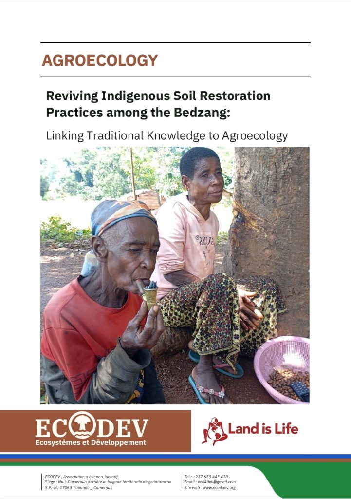 Reviving Indigenous Soil RestorationPractices among the Bedzang