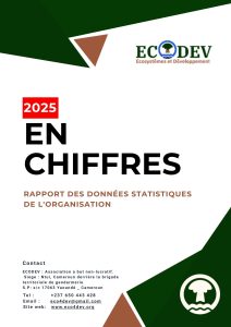 Lire la suite à propos de l’article 2025 EN CHIFFRES, Rapport des données statistiques de l&rsquo;organisation